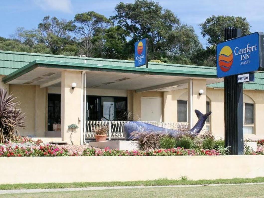 Surestay Hotel By Best Western The Clarence On Melville Albany Exterior photo